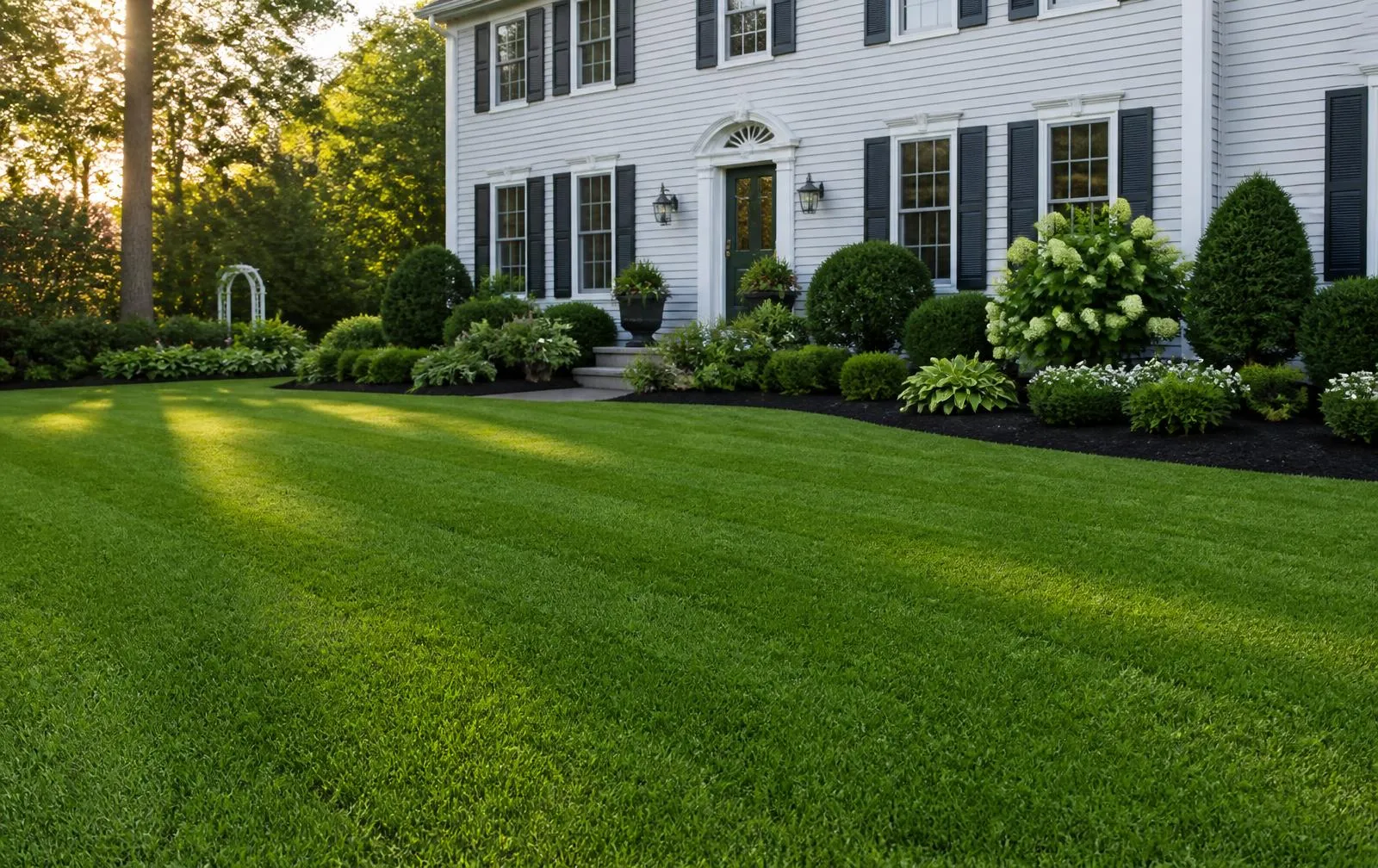Lawn Renovations in Norfolk, MA by LD Landscape & Construction